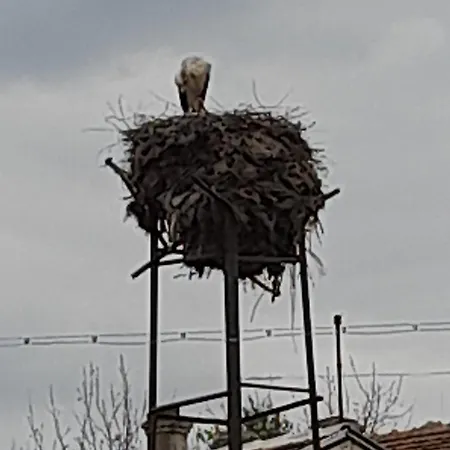 Haus Apartmán *